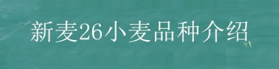 新麦26小麦品种介绍？种植问题！