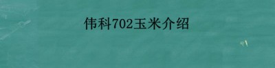 伟科702玉米介绍？伟科702和966哪个好？