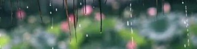 梅雨季节家里潮湿开窗还是关窗 梅雨季节家里潮湿怎么办