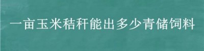 一亩玉米秸秆能出多少青储饲料 一亩玉米能打多少青贮