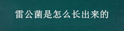 雷公菌是怎么长出来的 怎么洗雷公菌最快