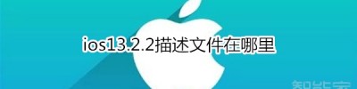 ios13.2.2描述文件在哪里_打开描述文件教程