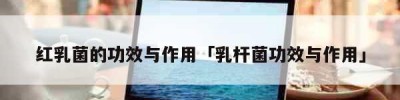 红乳菌的功效与作用「乳杆菌功效与作用」