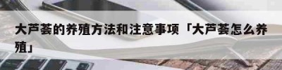 大芦荟的养殖方法和注意事项「大芦荟怎么养殖」