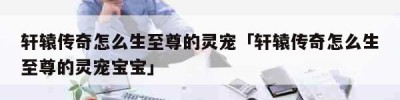 轩辕传奇怎么生至尊的灵宠「轩辕传奇怎么生至尊的灵宠宝宝」