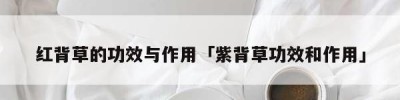 红背草的功效与作用「紫背草功效和作用」