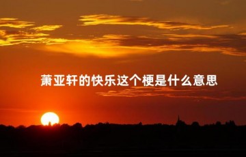 萧亚轩的快乐这个梗是什么意思，我终于体会到萧亚轩的快乐了什么梗