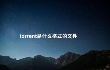 torrent是什么格式的文件，ios如何打开torrent格式文件