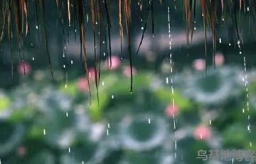 梅雨季节家里潮湿开窗还是关窗 梅雨季节家里潮湿怎么办