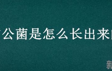 雷公菌是怎么长出来的 怎么洗雷公菌最快