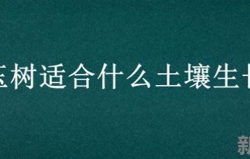 玉树适合什么土壤生长 玉树用什么盆搭配