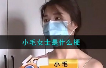 小毛女士是什么梗_小毛女士梗的意思及出处介绍