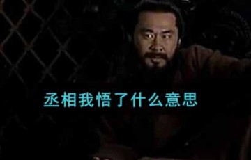 丞相我悟了什么意思_丞相我悟了意思介绍