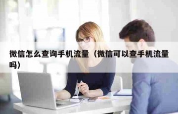 微信怎么查询手机流量（微信可以查手机流量吗）