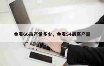 金麦66亩产量多少，金麦54最高产量