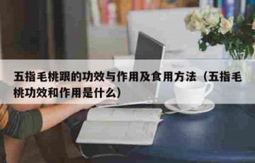 五指毛桃跟的功效与作用及食用方法（五指毛桃功效和作用是什么）