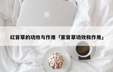 红背草的功效与作用「紫背草功效和作用」