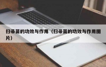 扫帚苗的功效与作用（扫帚苗的功效与作用图片）